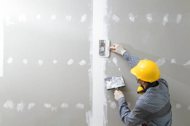 Best Post-Construction Mold Inspection  in Vincent, CA
