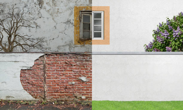 Best Mold Remediation for Rental Properties  in Vincent, CA